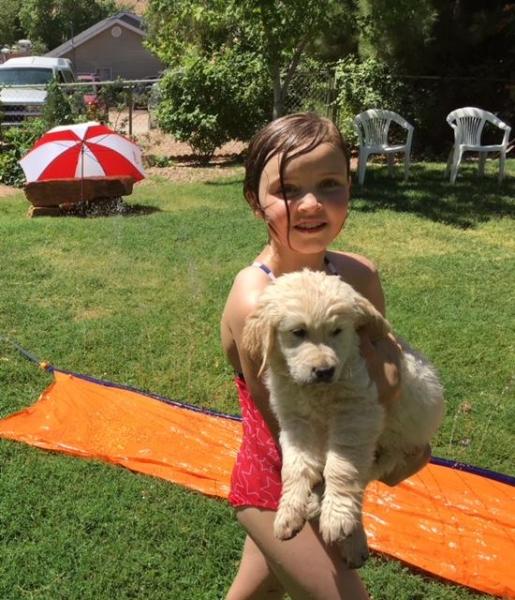Granddaughter, puppy, and a slip and slide.  Sooo fun!